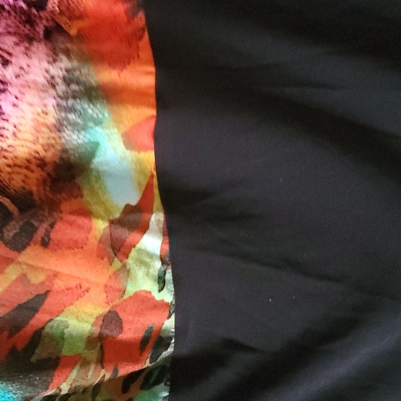 FRANK LYMAN - Picture 4 of 4